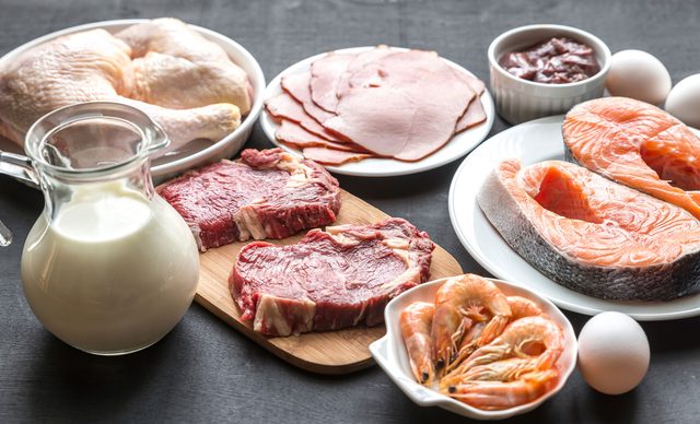 meat, fish and dairy products