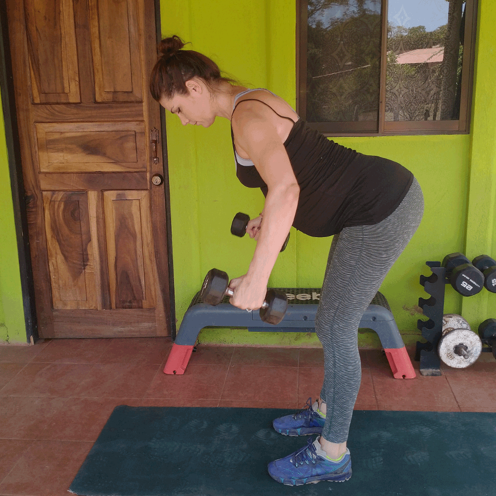 Rear Delt Dumbbell Fly