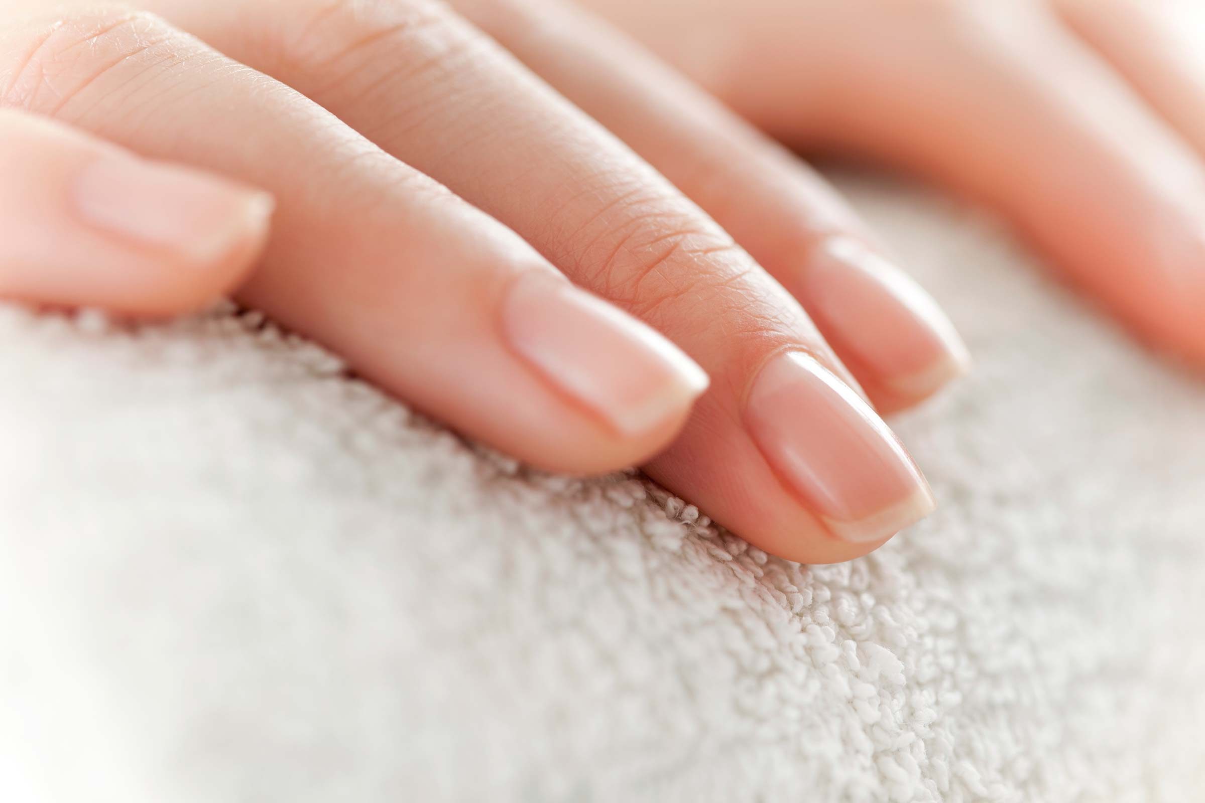 Perfectly clean, manicured fingernails.