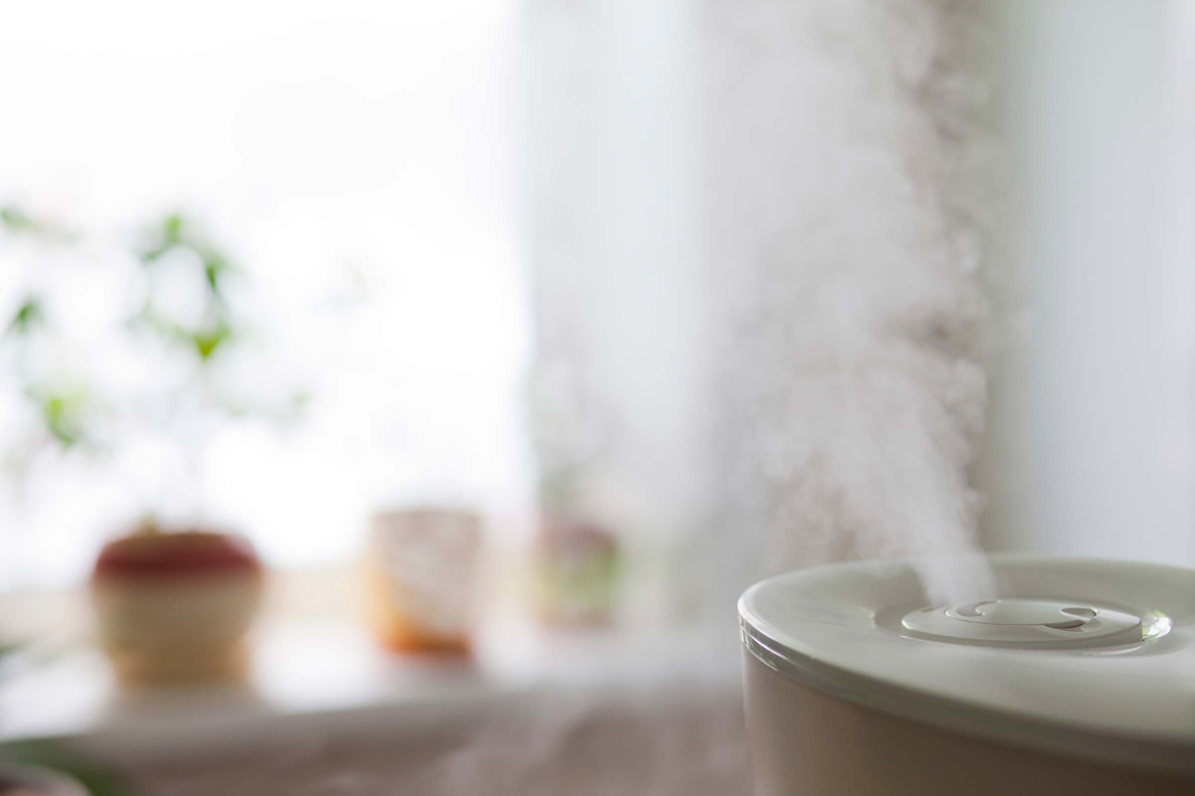 Mist from a humidifier.