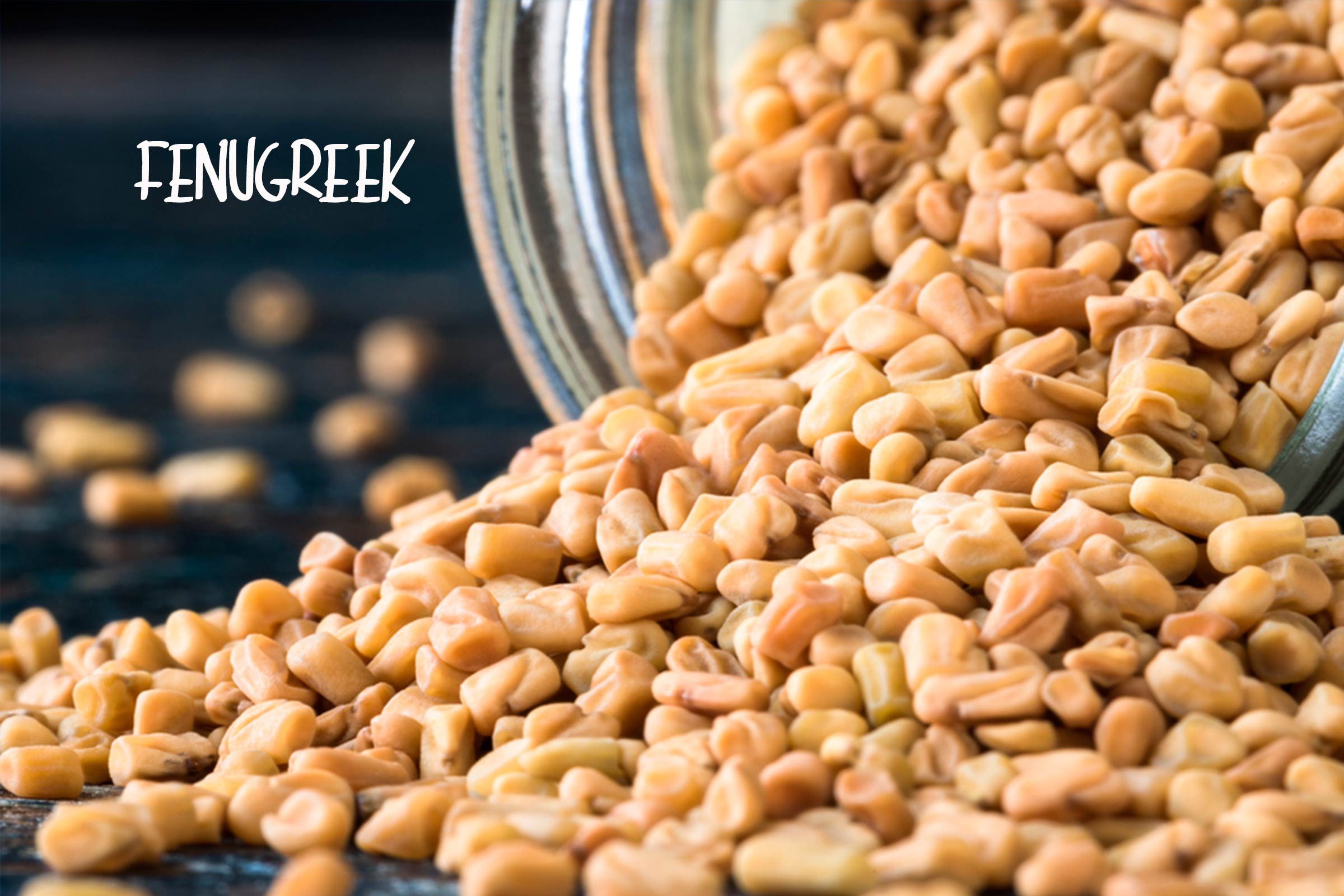 Fenugreek seeds. 