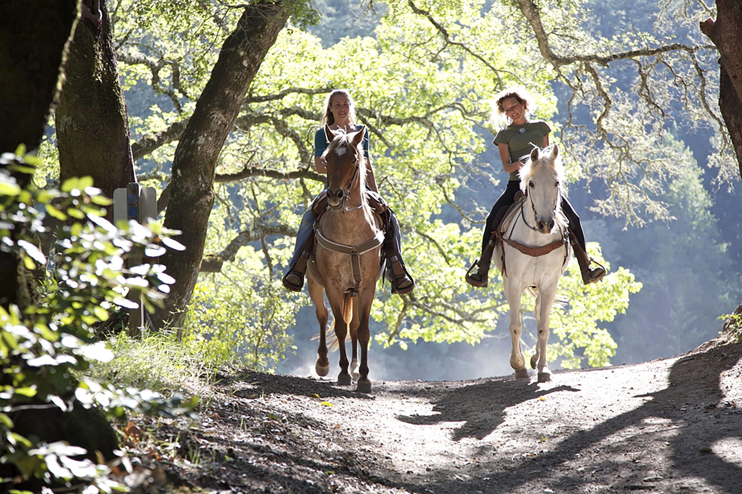 Queen Elizabeth horsebackriding