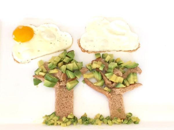 avocado-trees