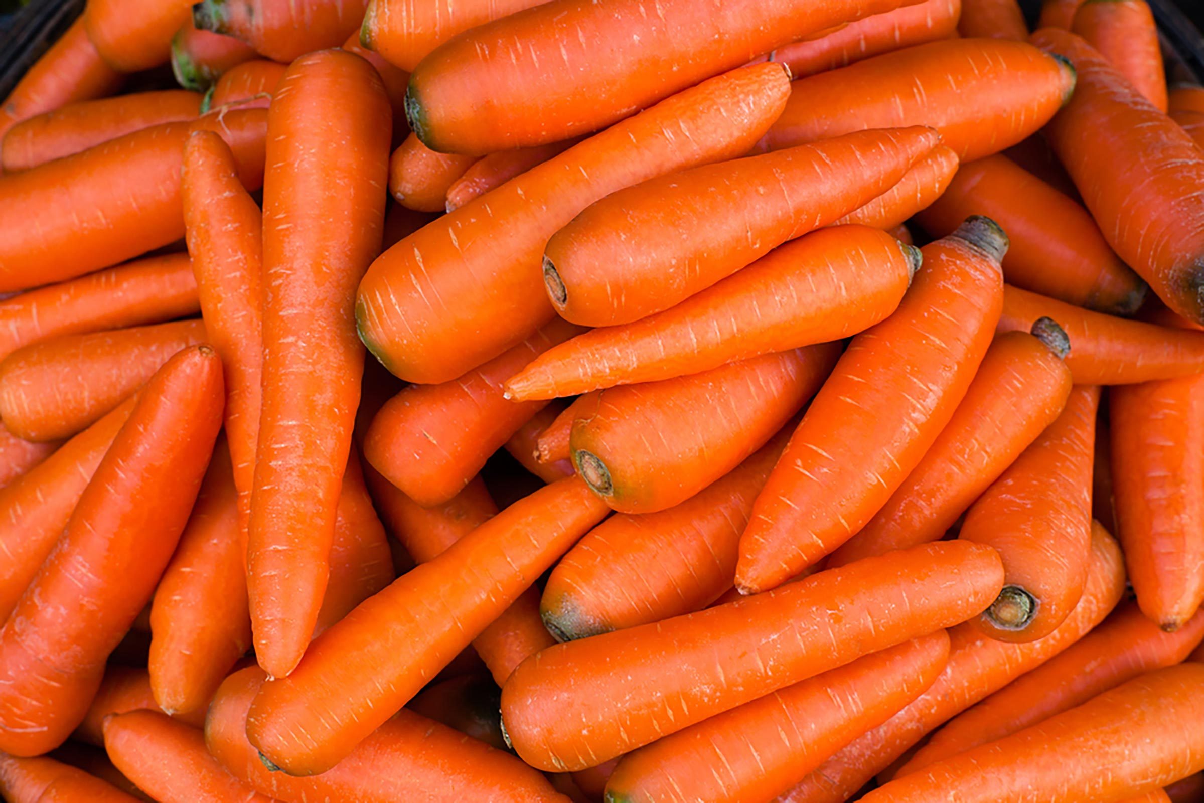 group of carrots