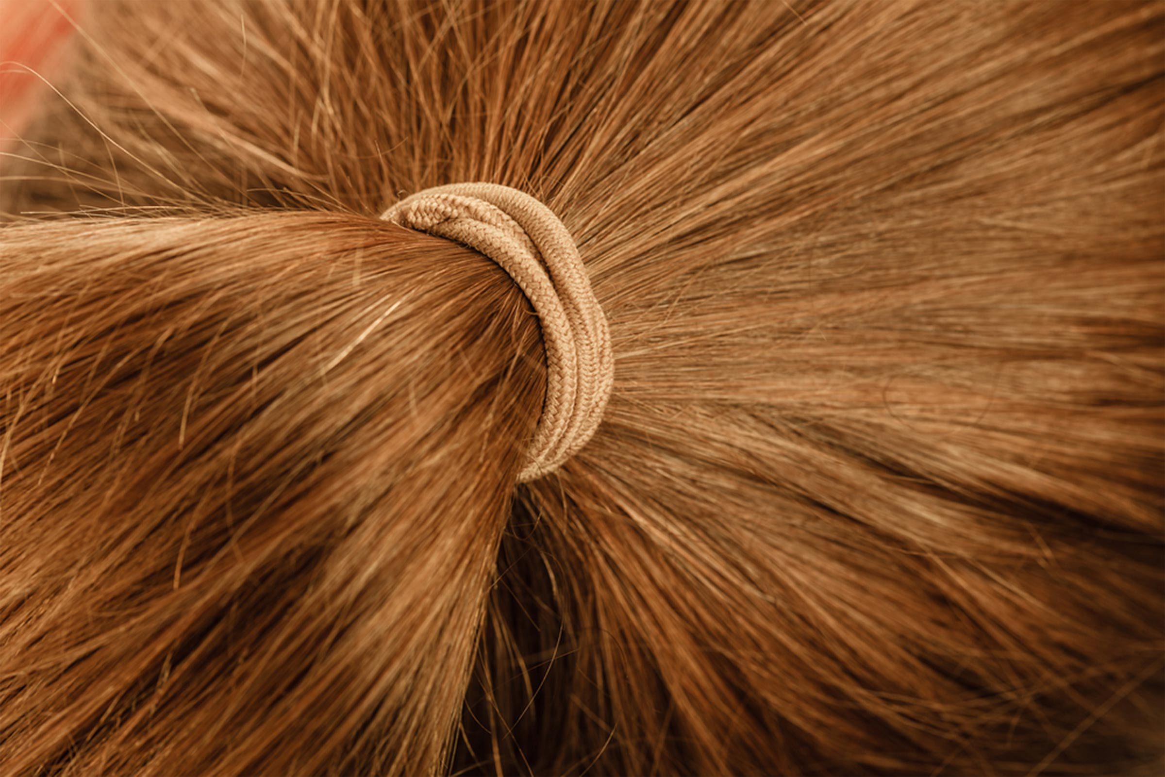 ponytail
