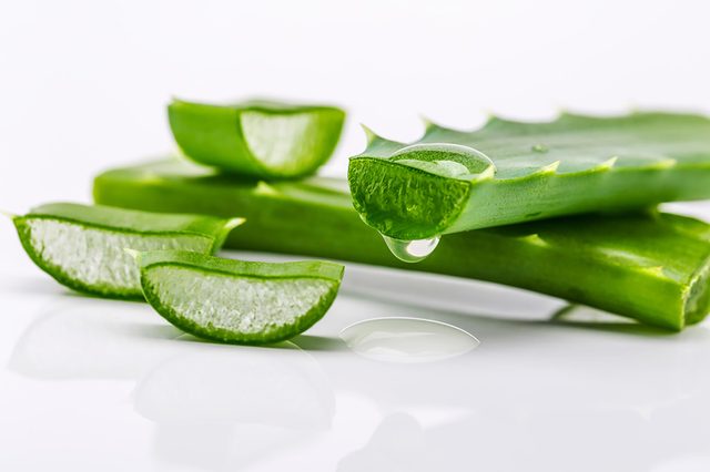 aloe-vera