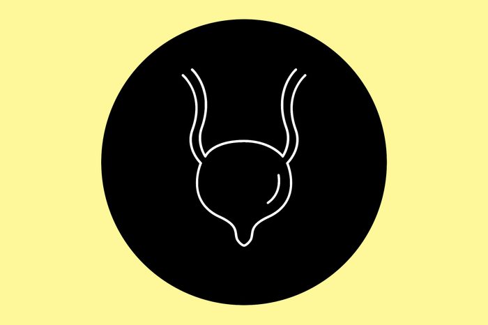 Illustration of a bladder.