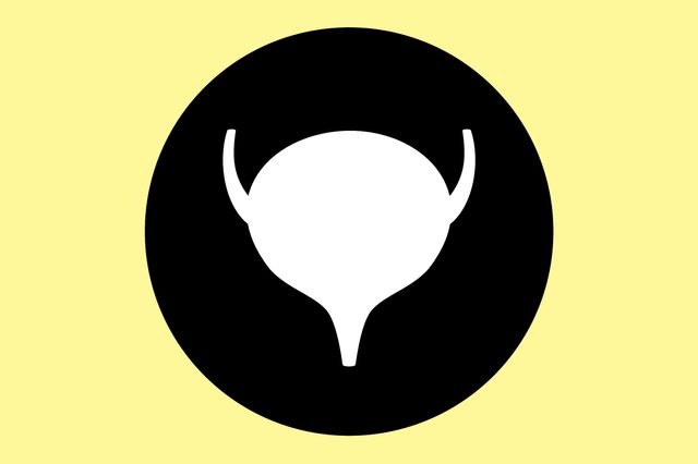 bladder