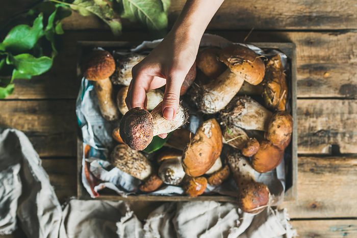 Mushrooms