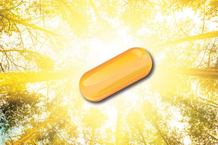 Illustration of a vitamin shining like the sun surrounded by tree tops.
