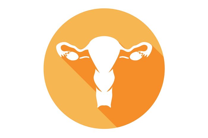 Reproductive-organs