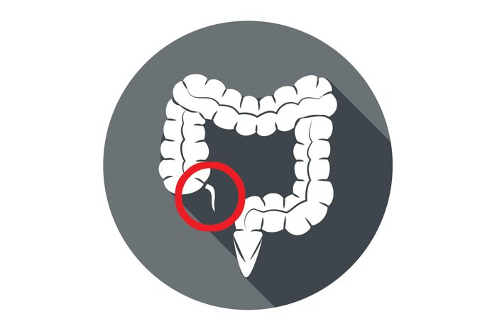 Appendix