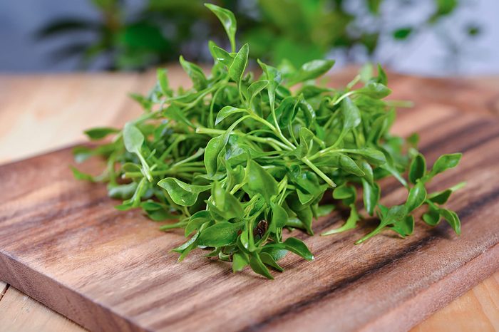 Watercress