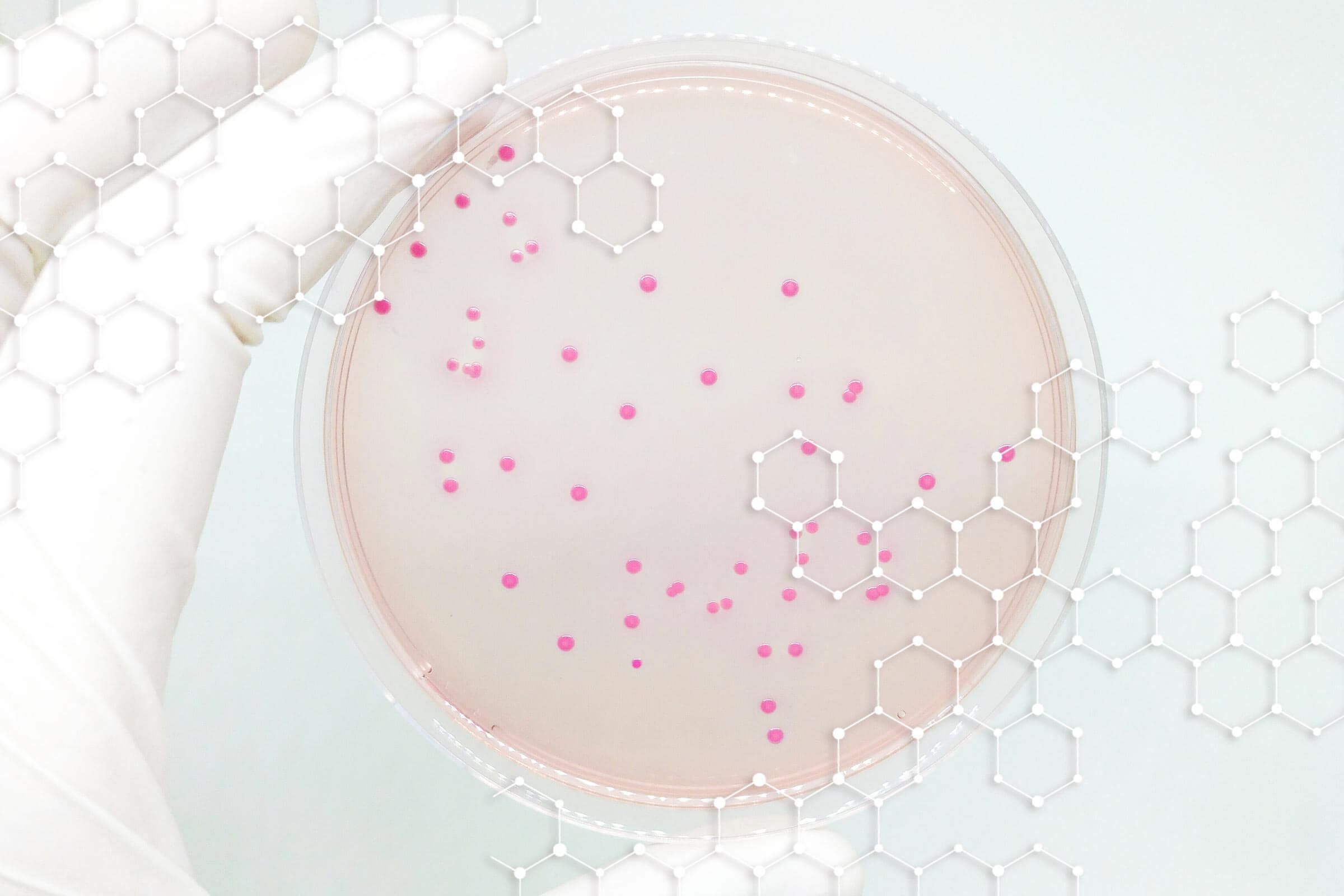 Why do we have viruses inside our bodies?