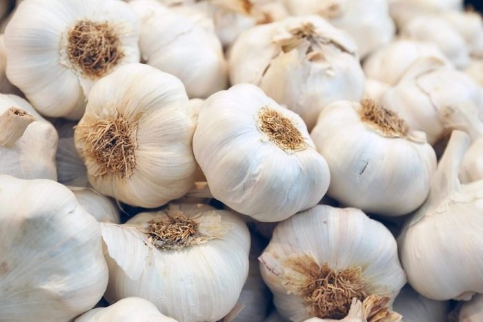 garlic