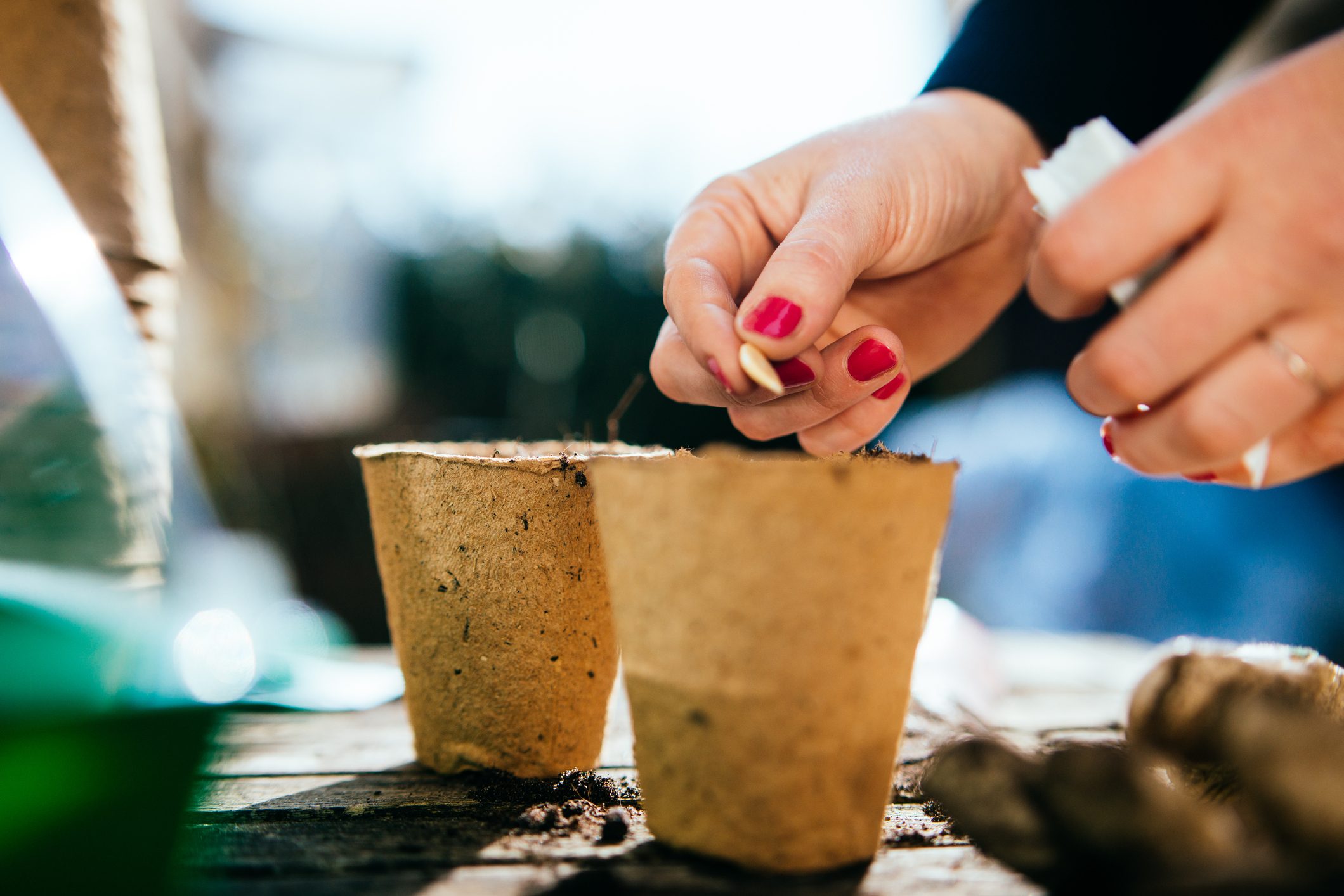 planting a seed