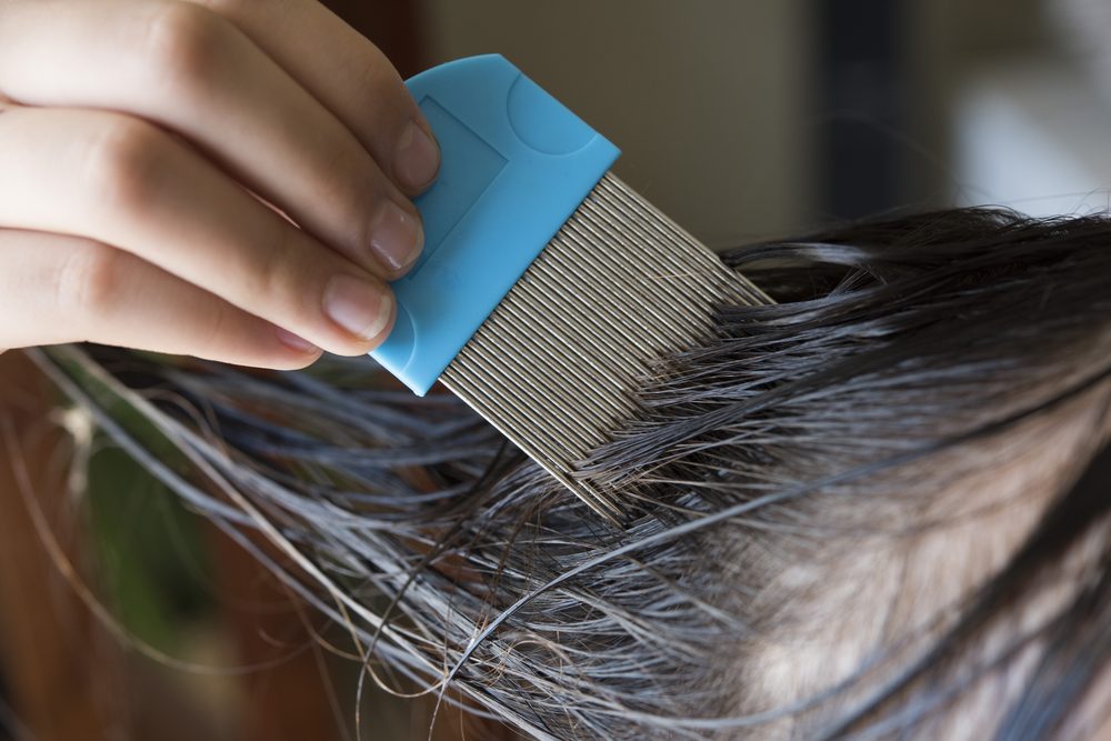a girl is doing head lice treating. a closed up shot.