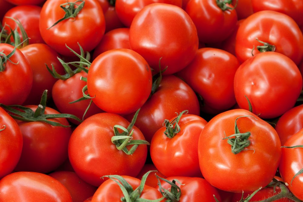 Red ripe tomatoes background with green roots