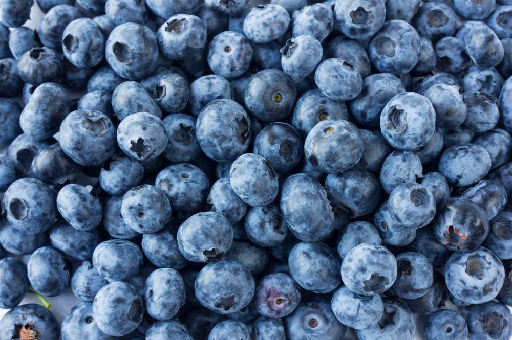 Fresh Blueberry Background. Texture blueberry berries close up. Various fresh summer berries. Top view.