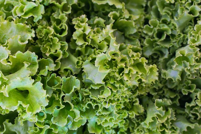 Green leafy plants
