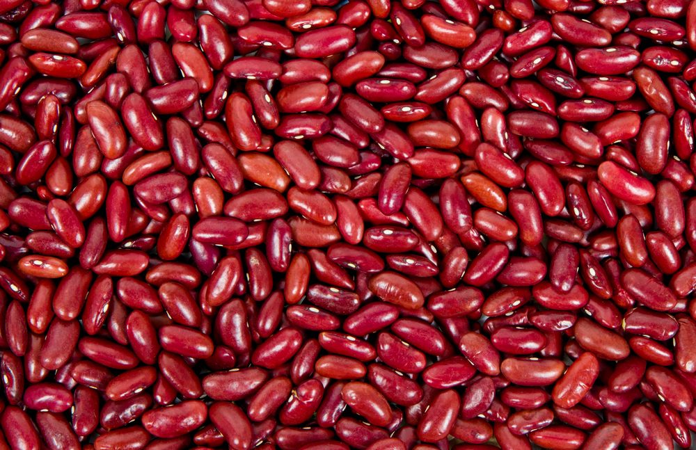 background of red kidney beans