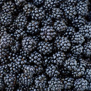 Fresh Ripe Blackberries