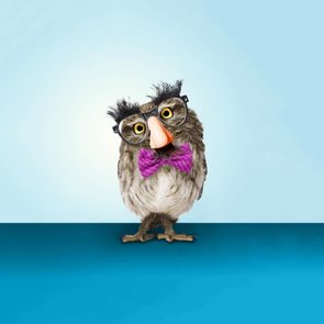 <em><strong>E. B. White once wrote, “Humor can be dissected, as a frog can, but the thing dies in the process.” That might not be true after all. </strong></em>