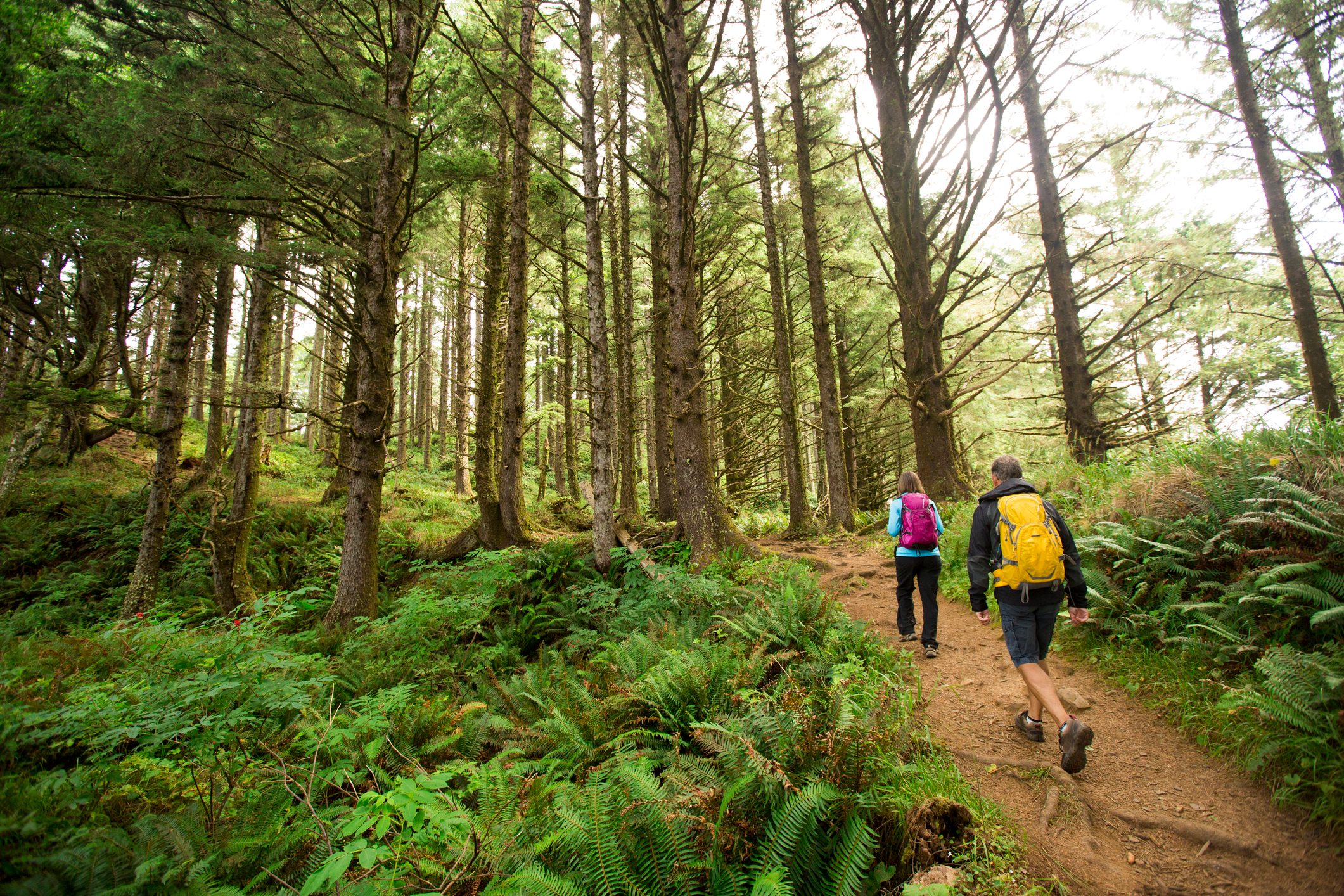 man and woman walking through forest together