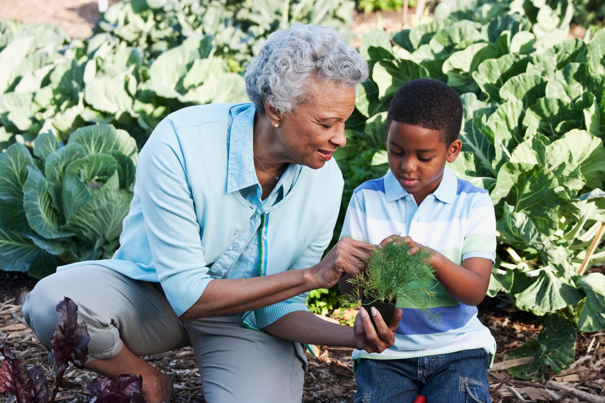 grandmother and grandson gardening in backyard