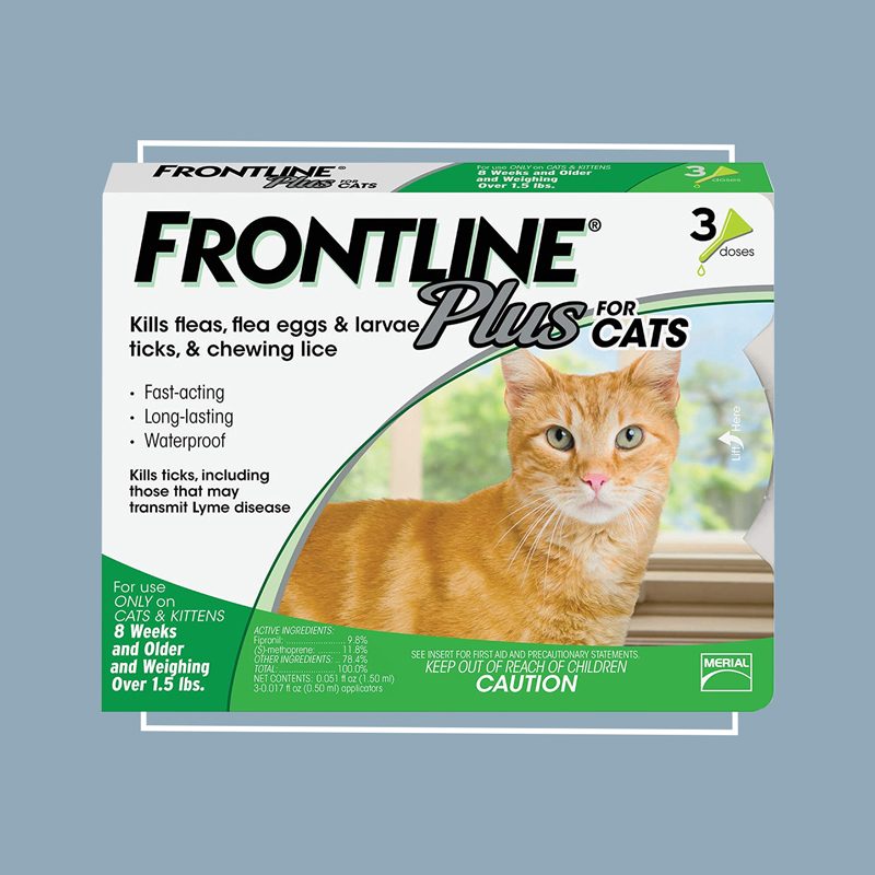 frontline plus for cats