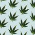 This Is What CBD Isolate Is and How to Use It