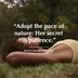 16 Mindfulness Quotes When You Need to Quiet Your Mind
