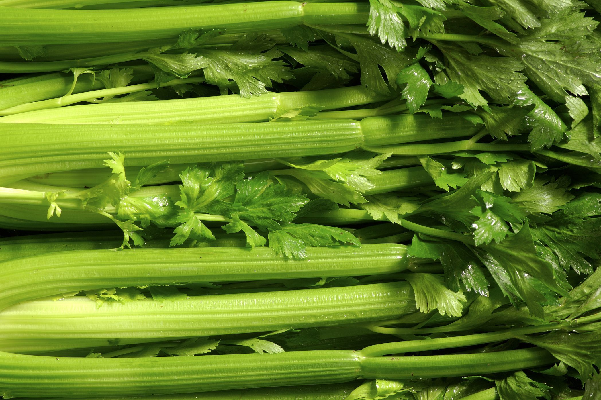 Celery