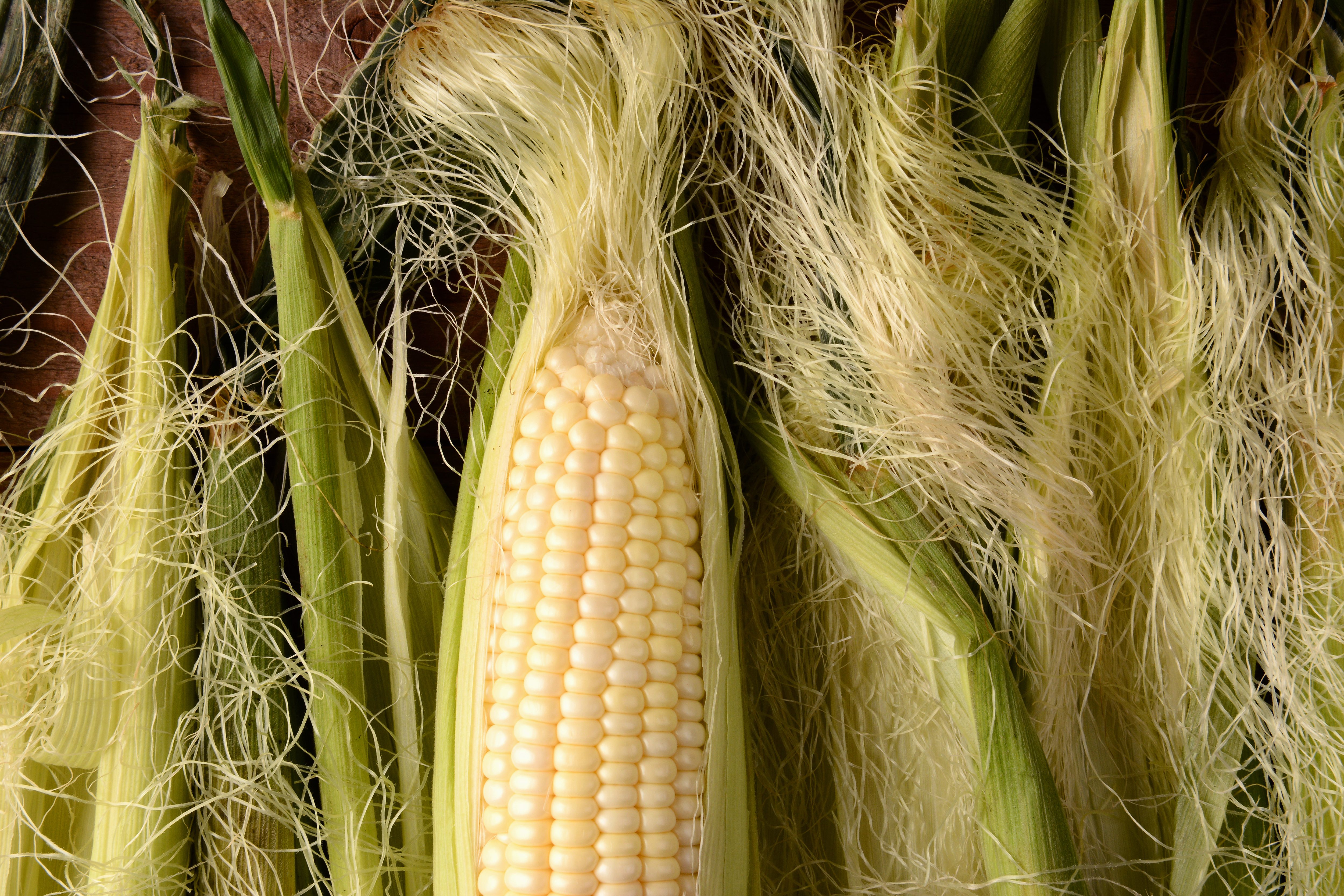 Corn Husk Gettyimages 950978494