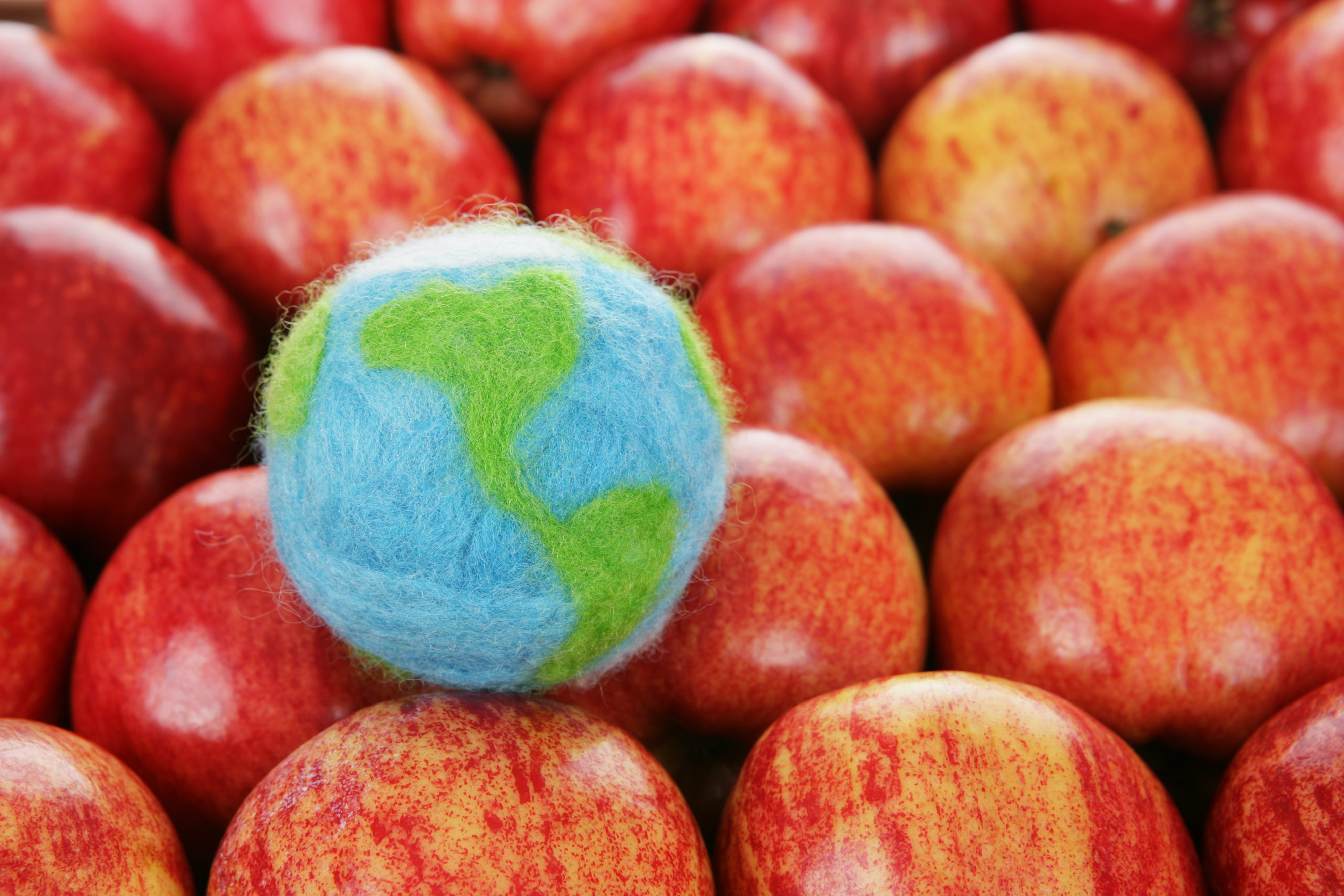 Fruit featuring a felt globe background