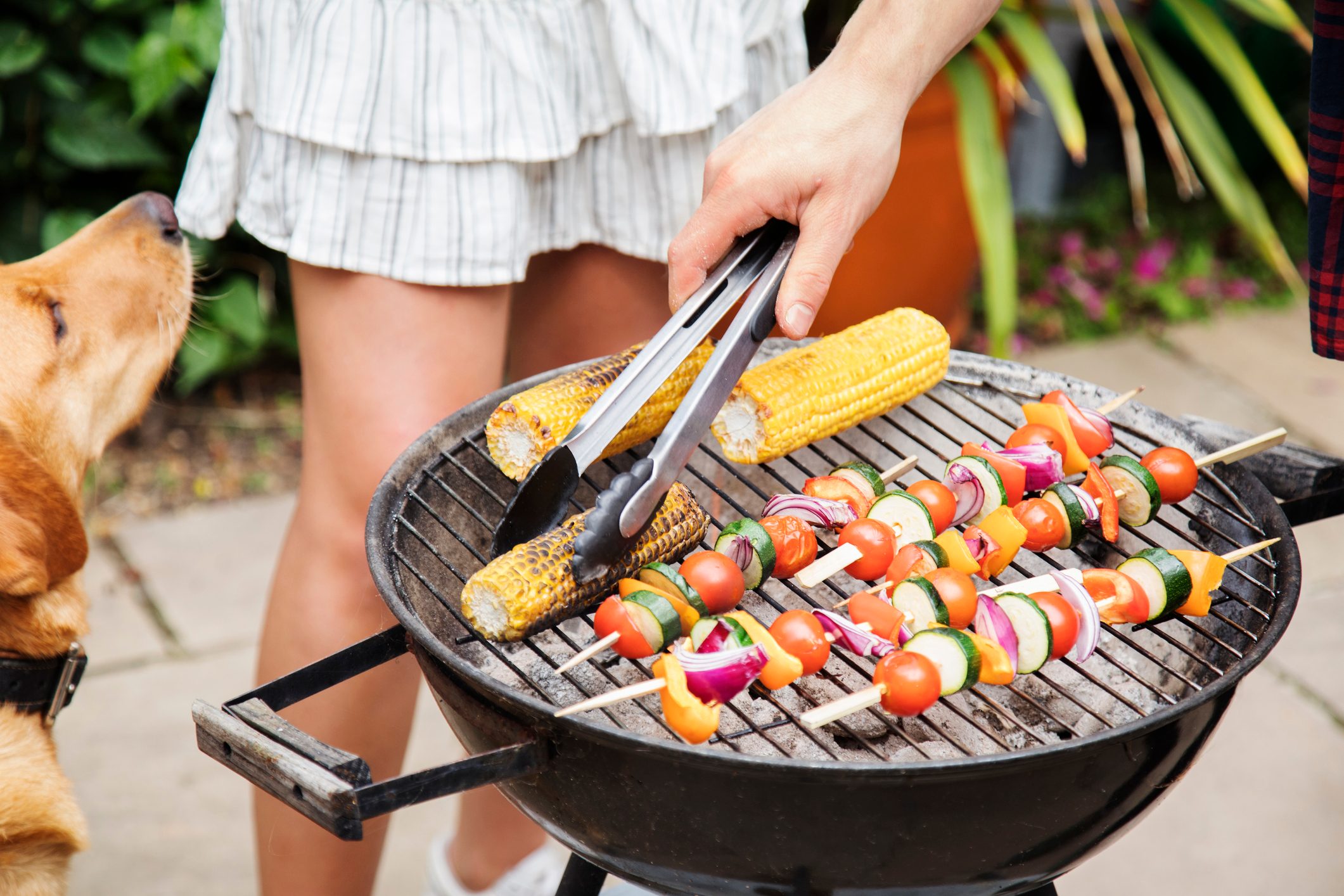 Close up of hand turning over food on barbecue, dog looks on.