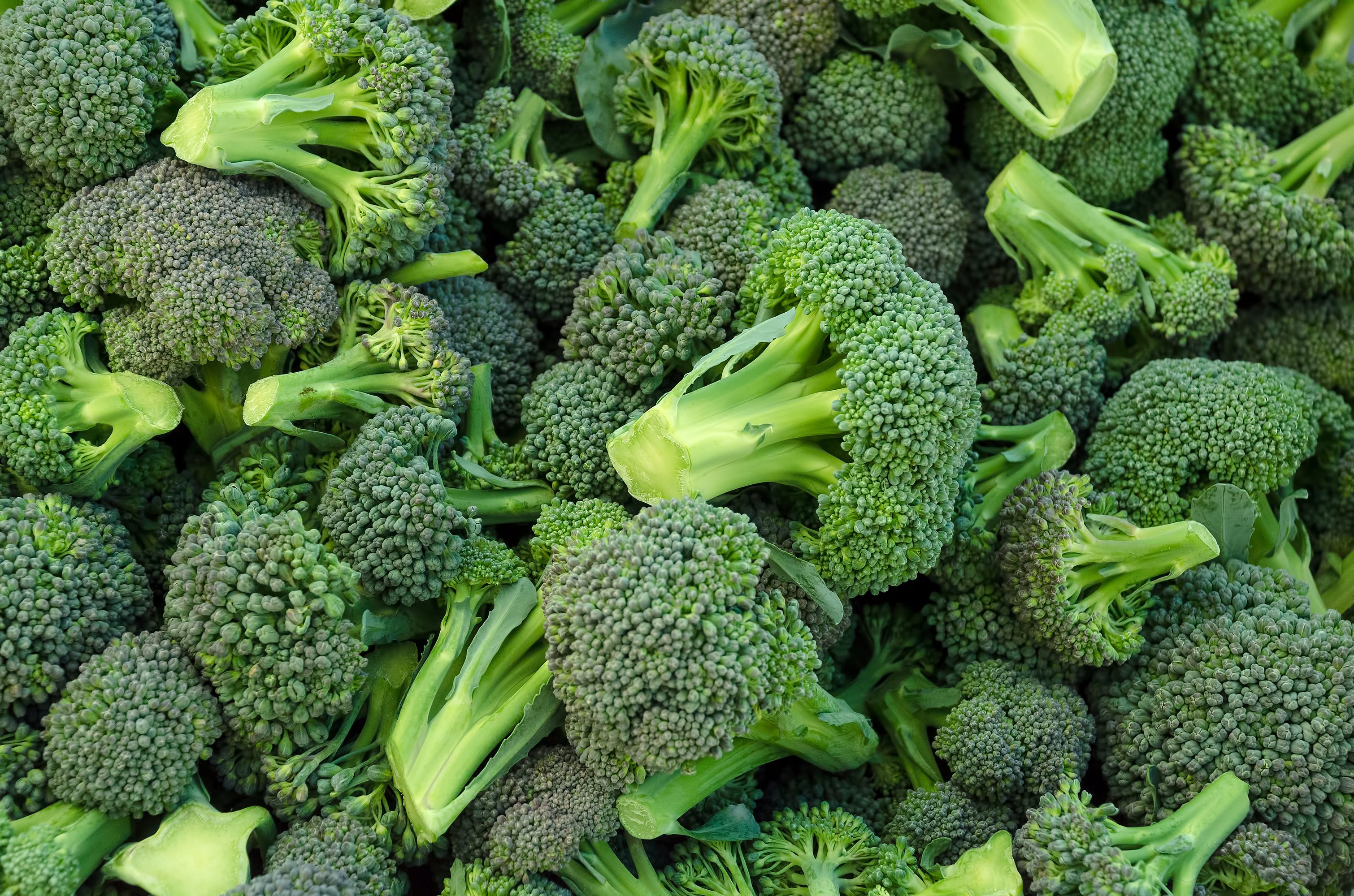 Broccoli in a pile