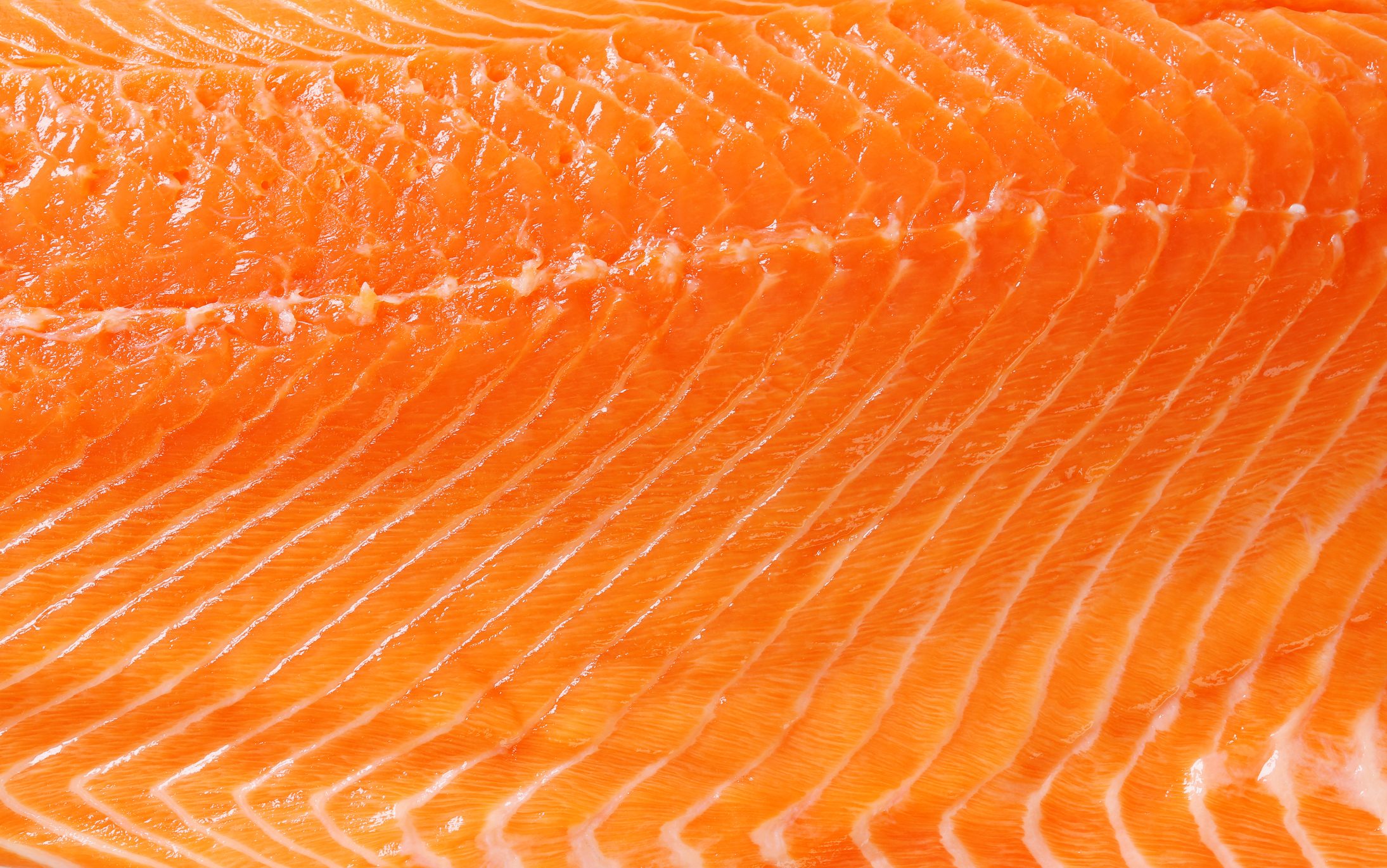 Raw salmon background