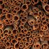 This Cozy Spice Can Reduce Blood Sugar, Says New Study