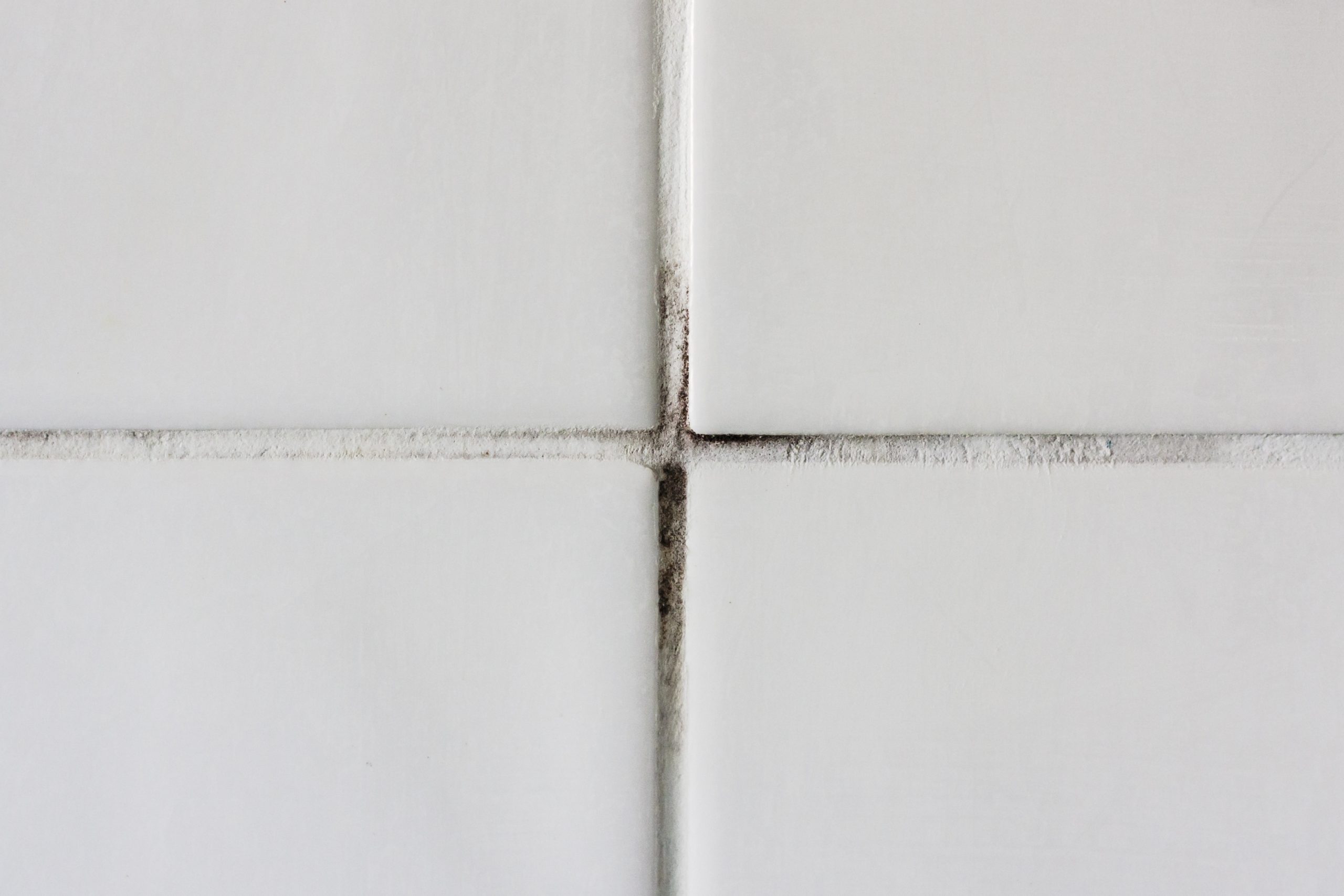 Bathroom mould on tile grouting