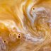 Over 75,000 Popular Coffee Products Recalled in 31 States