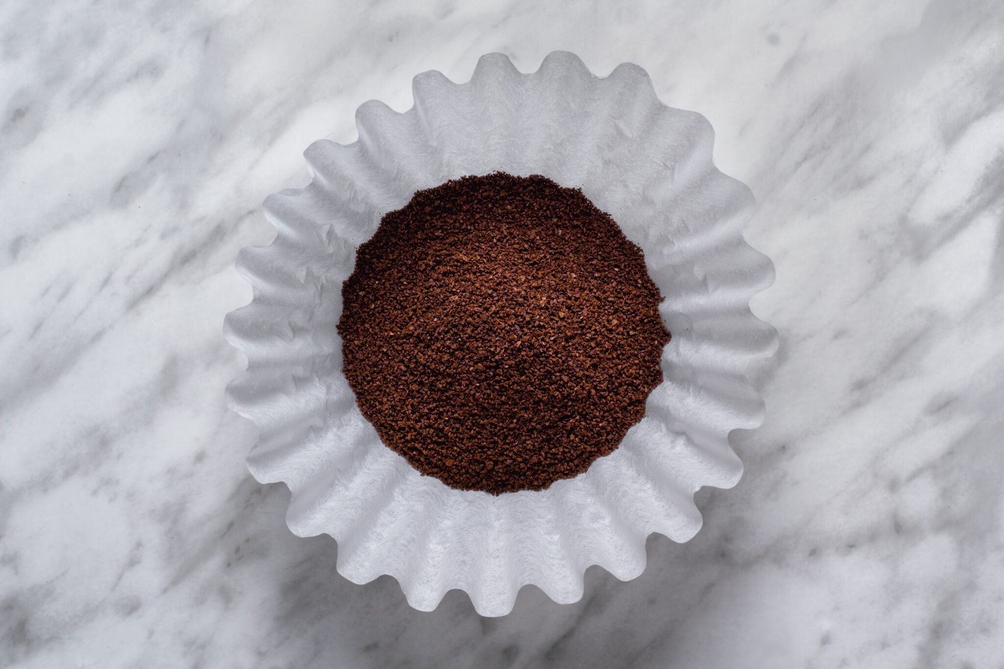 Coffee And Filter