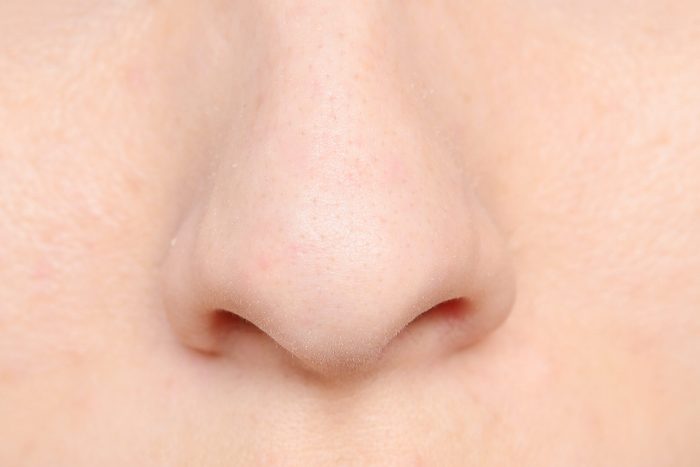 human nose