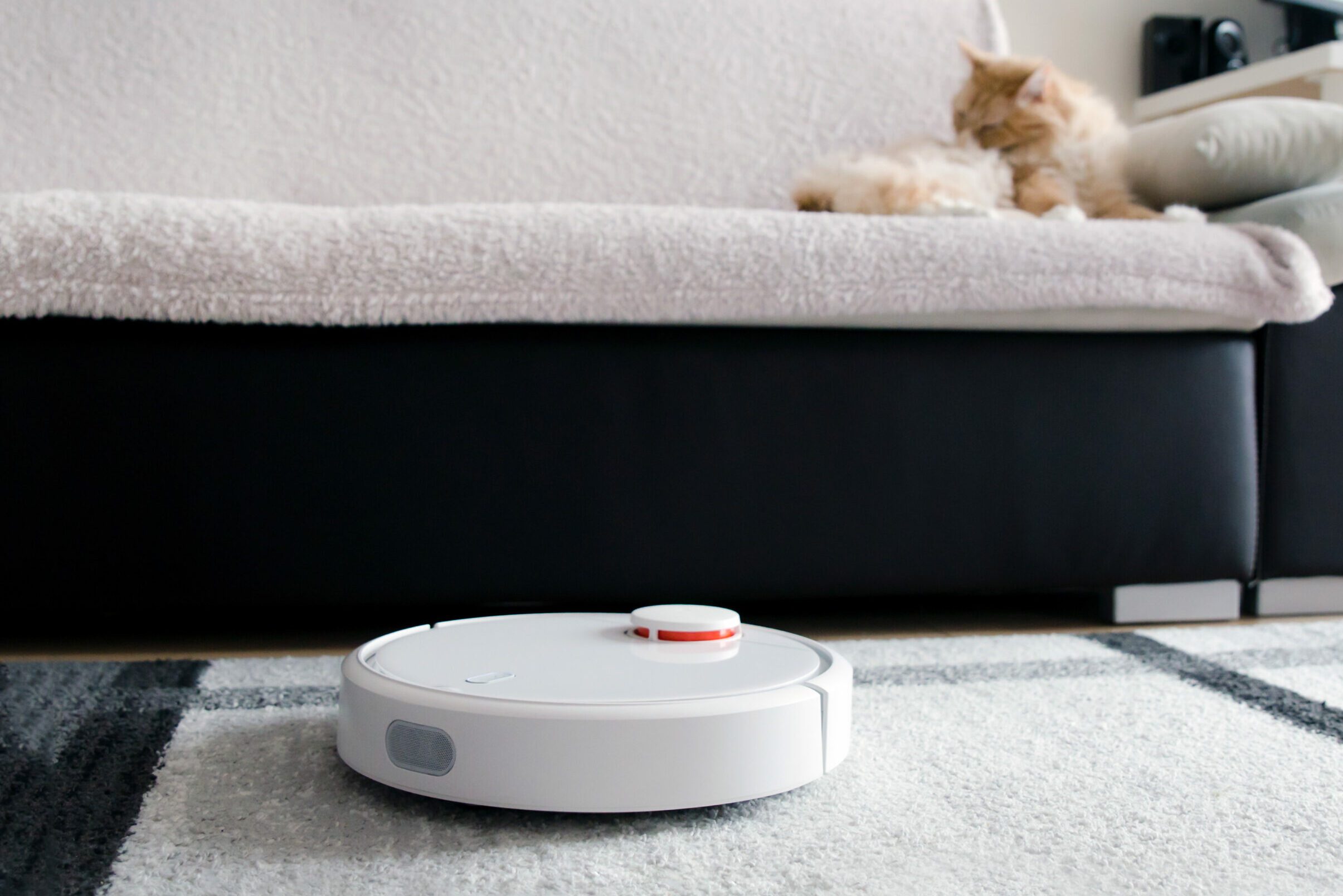 Robotic vacuum cleaner cleaning the room.