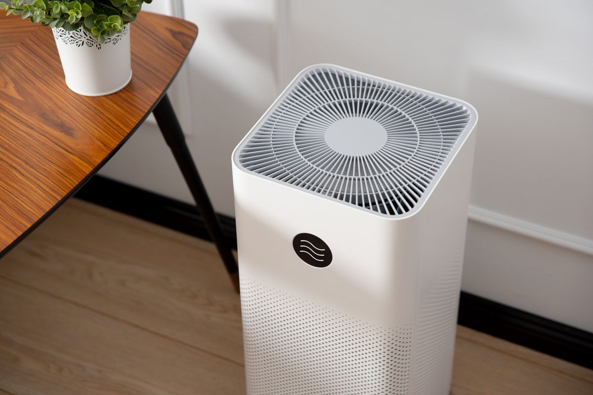 Air Purifier In Living Room