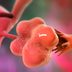 New Study: Popular Weight Loss Drugs May Help Treat "the Most Widely Recognized" Hormone Issue Among Women