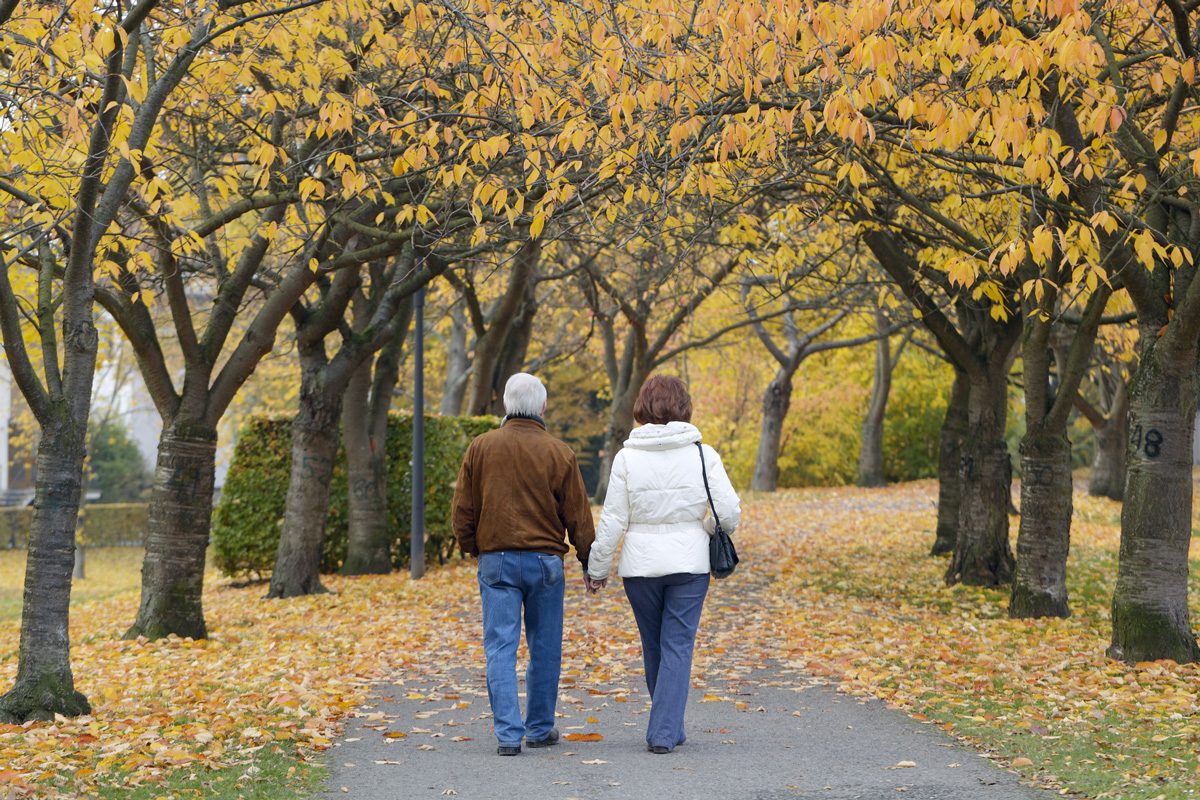 Rear view of senior couple on treelined footpath in autumn