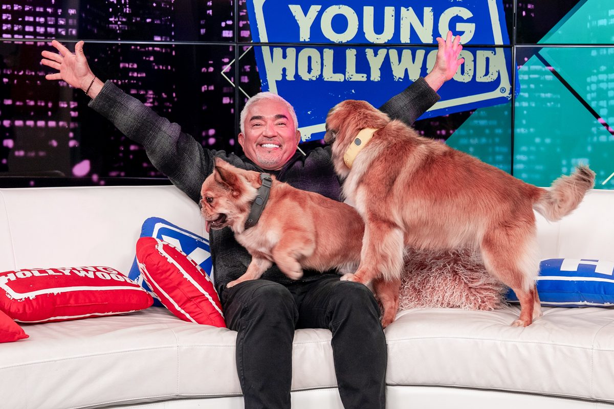 Cesar Millan Visits Young Hollywood Studio With His Dogs