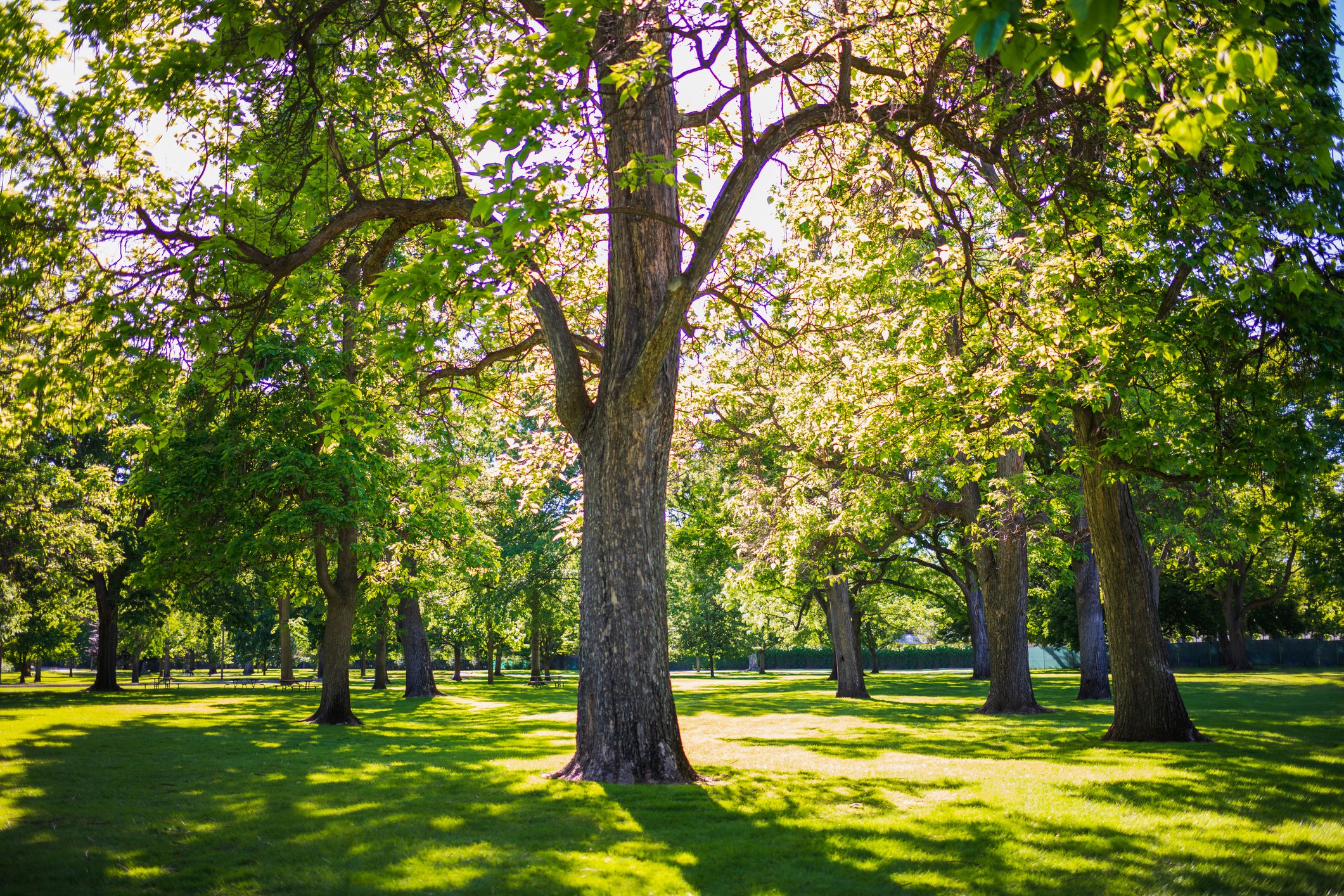 How Long Do Allergies Last? Here’s What an Expert Doctor Says