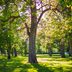 How Long Do Allergies Last? Here's What an Expert Doctor Says